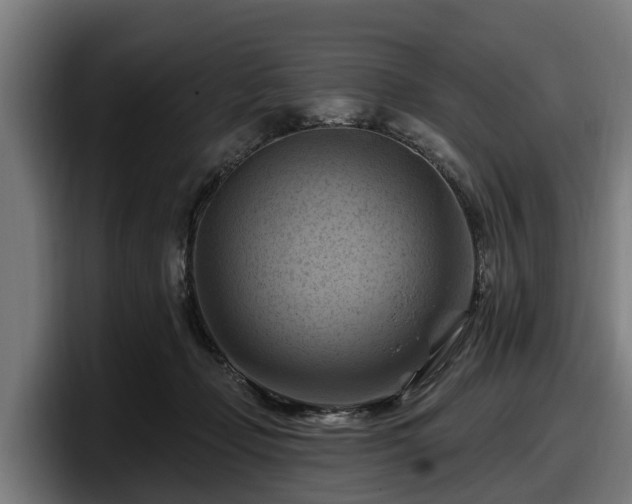 X0000097830365200803201502