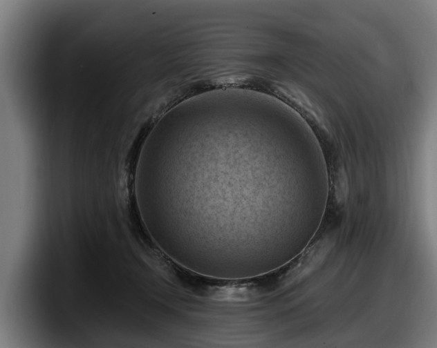 X0000097830366200803201502