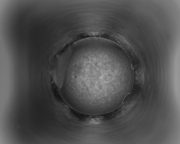 X0000097830368200803201502