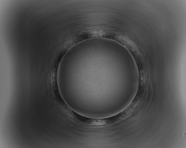 X0000097830369200803201502