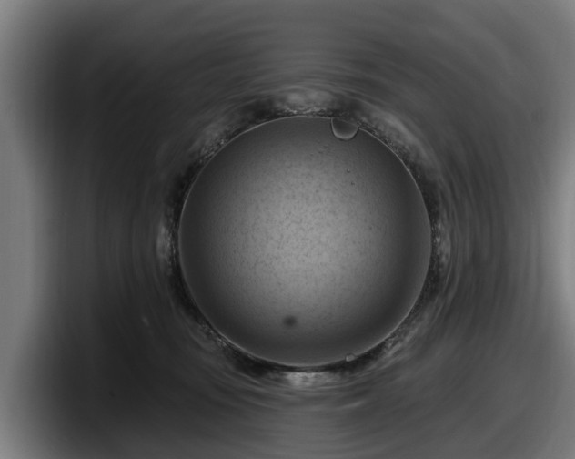 X0000097830371200803201502