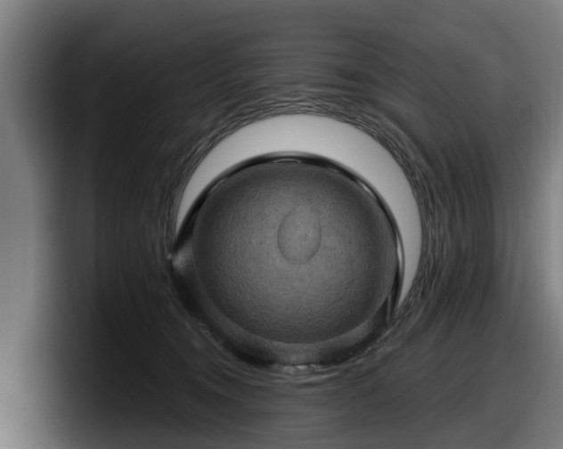 X0000097830372200803201502