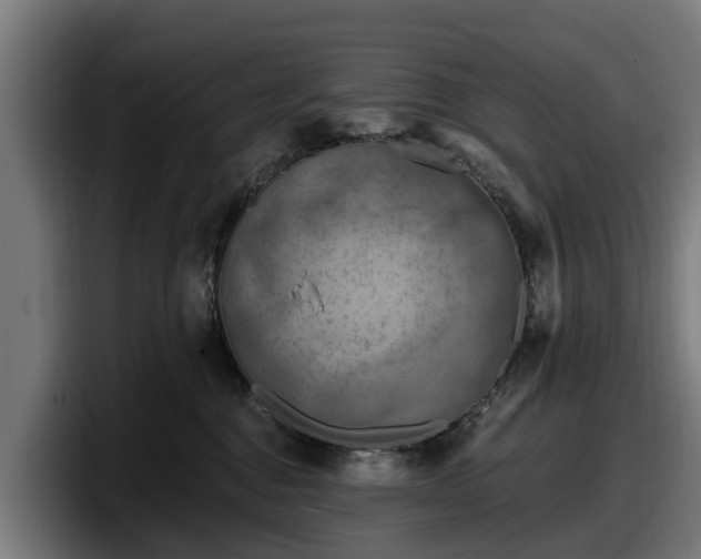 X0000097830376200803201502