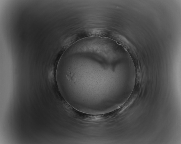 X0000097830377200803201502