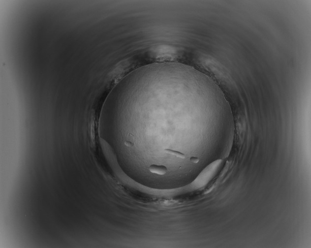 X0000097830379200803201503