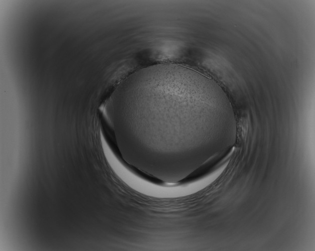 X0000097830380200803201503