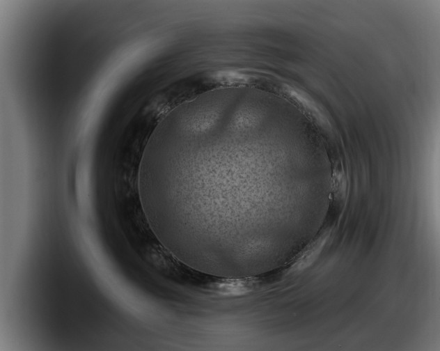 X0000097830381200803201503