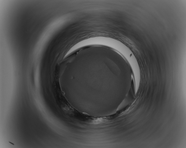 X0000097830382200803201503