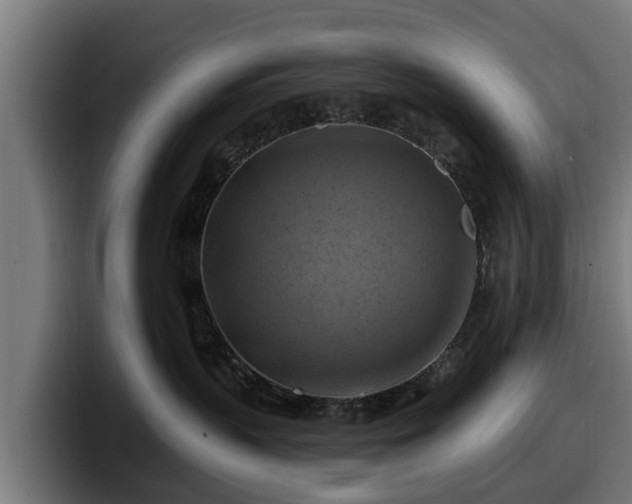 X0000097830383200803201503