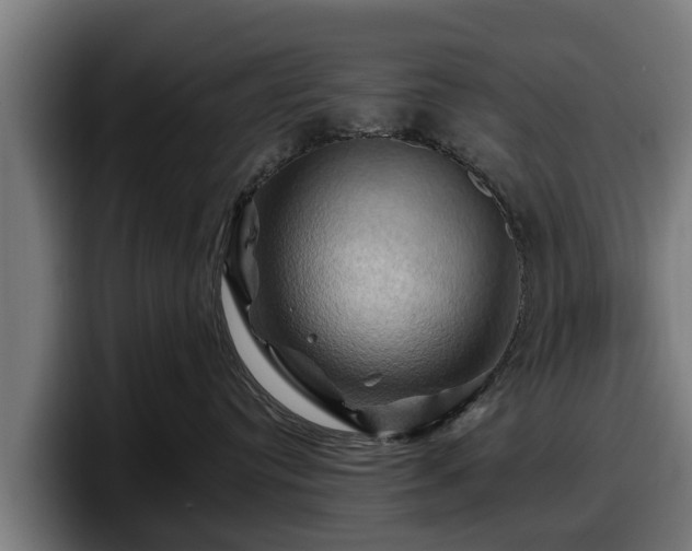 X0000097830384200803201503