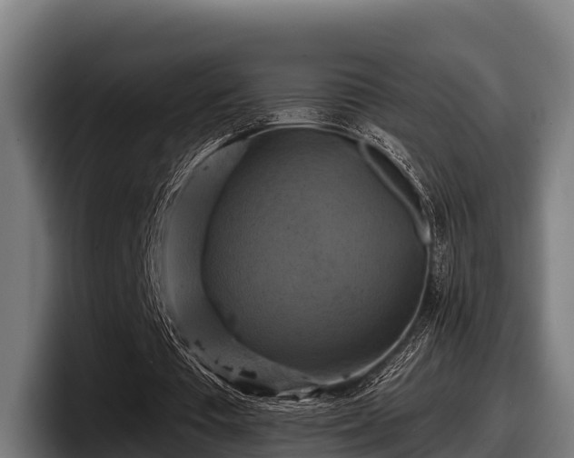 X0000097830385200803201502