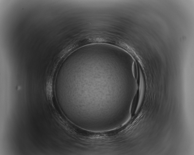 X0000097830386200803201502