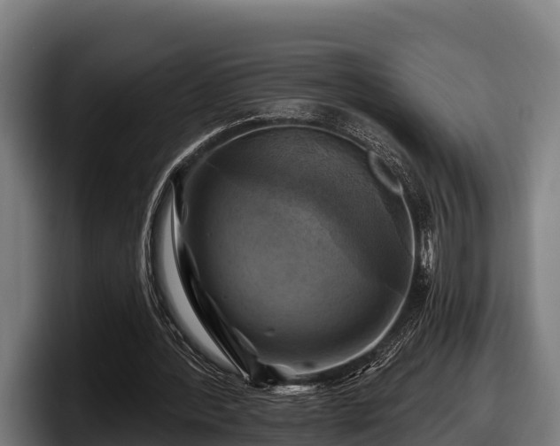 X0000097830388200803201502