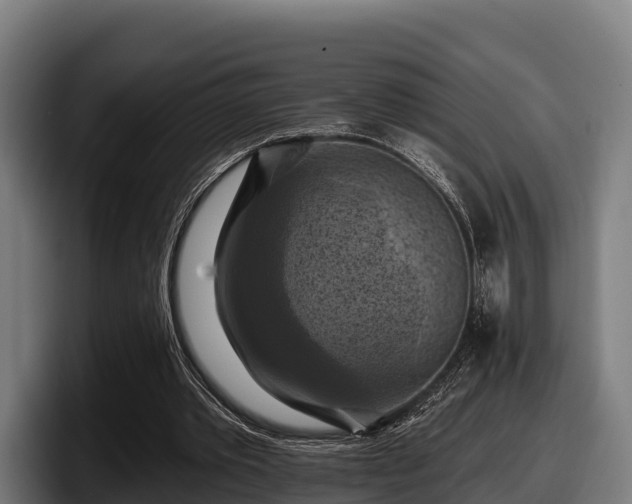 X0000097830389200803201502