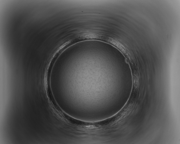 X0000097830390200803201502