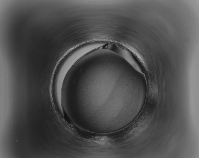 X0000097830391200803201502