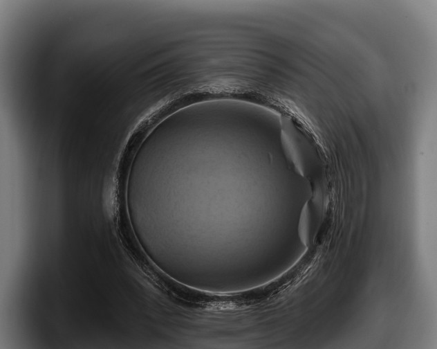 X0000097830392200803201502