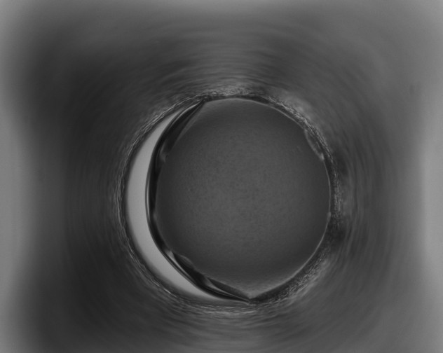 X0000097830393200803201502