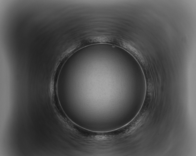 X0000097830394200803201502