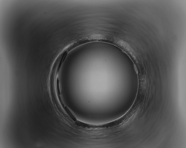 X0000097830395200803201502