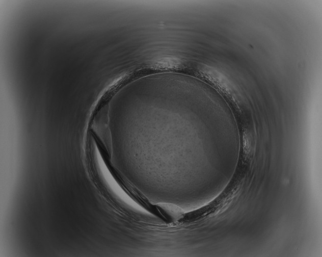 X0000097830396200803201502