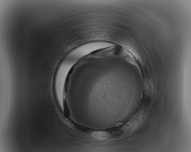 X0000097830397200803201502