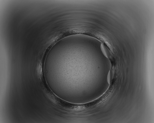 X0000097830398200803201502