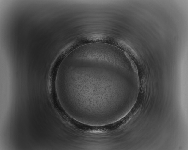 X0000097830400200803201502