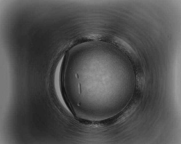 X0000097830404200803201502