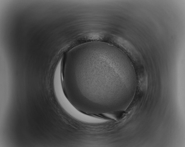 X0000097830407200803201502