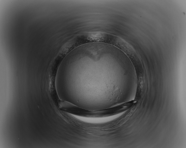 X0000097830408200803201502