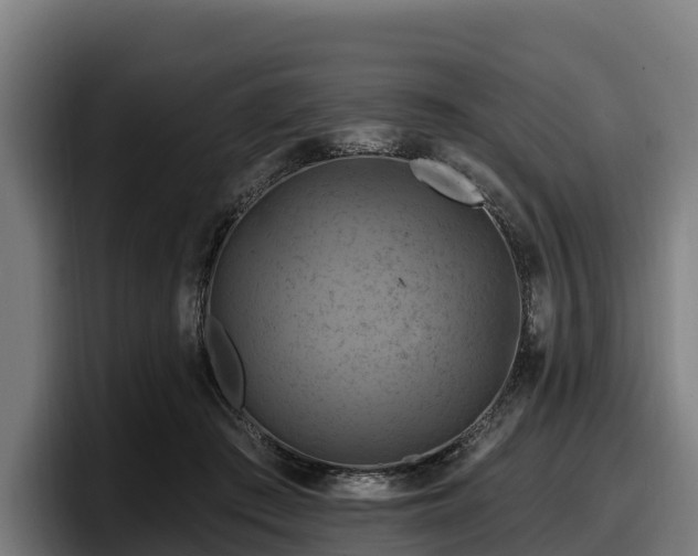 X0000097830409200803201502