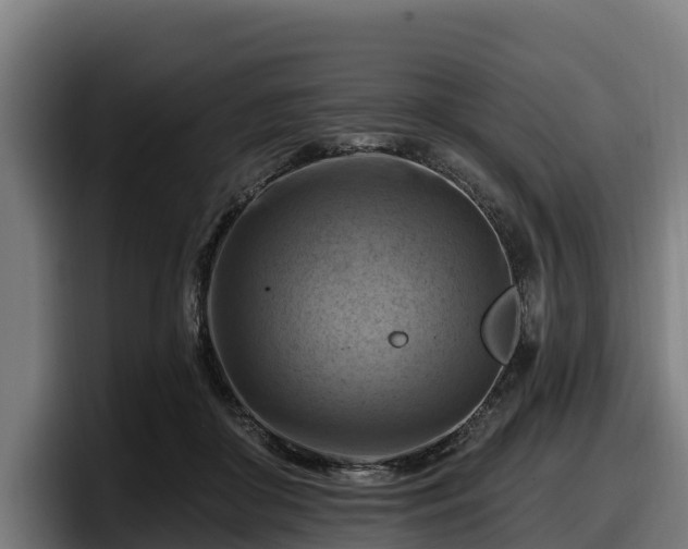 X0000097830410200803201502