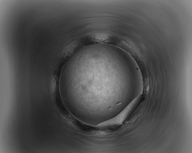 X0000097830412200803201502