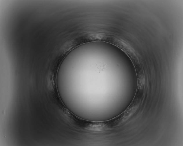 X0000097830414200803201502