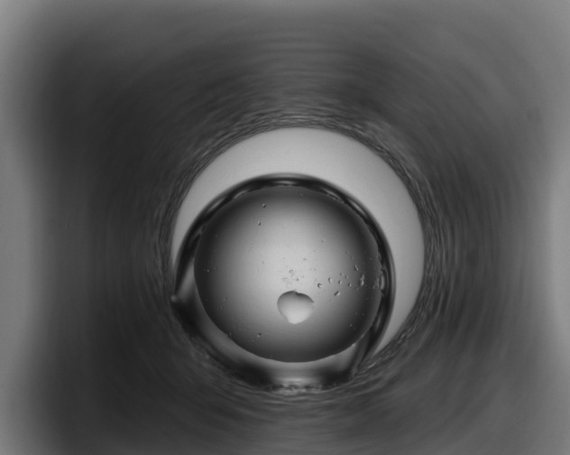 X0000097830415200803201502