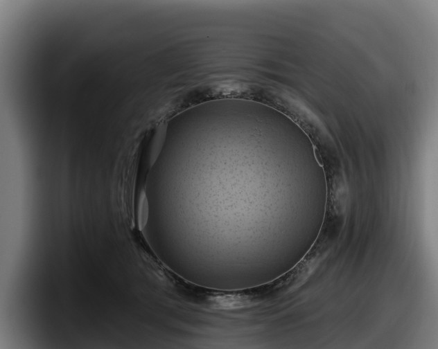 X0000097830417200803201502