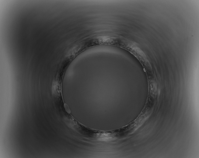 X0000097830419200803201502