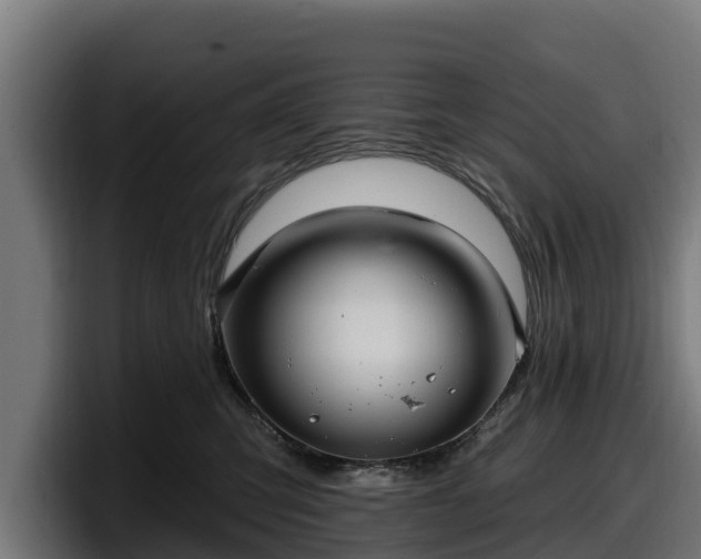 X0000097830423200803201501