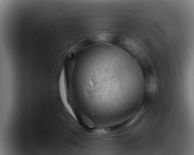 X0000097830425200803201501