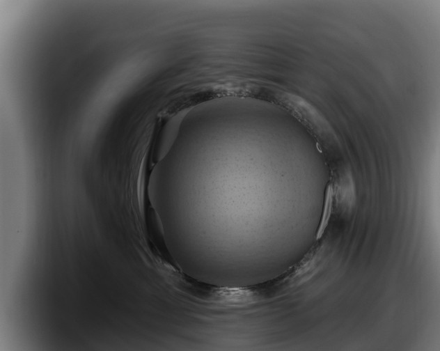 X0000097830429200803201501