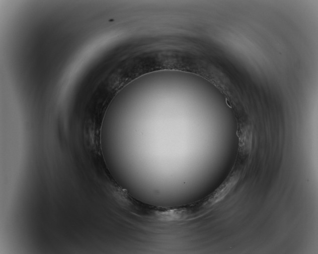 X0000097830430200803201501