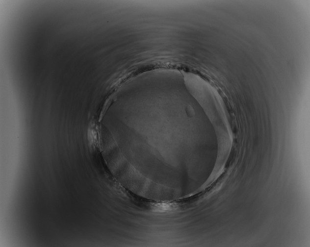 X0000097830432200803201501