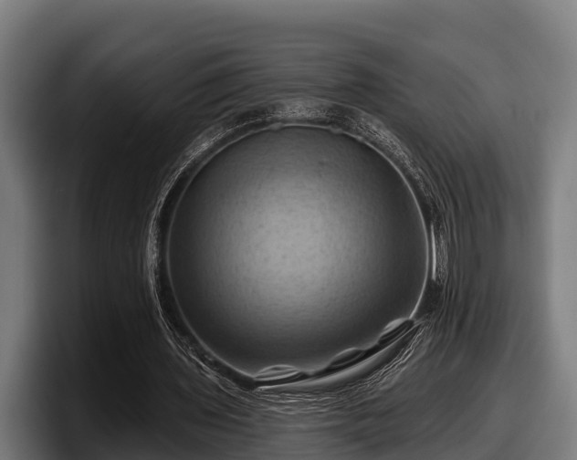 X0000097830435200803201501
