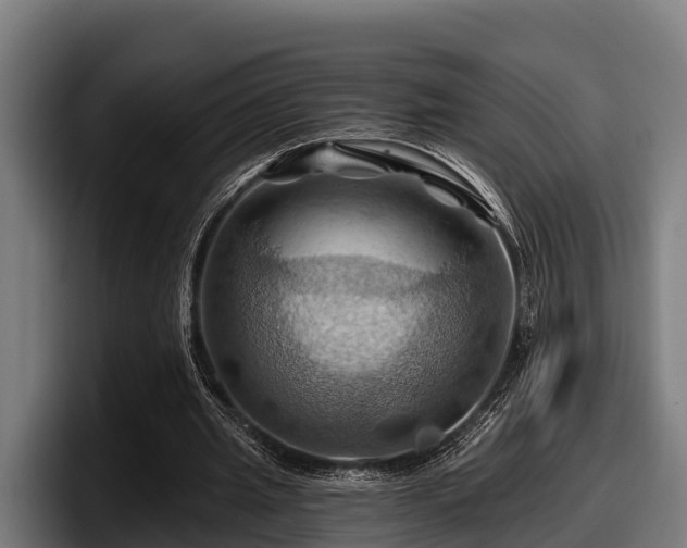 X0000097830437200803201501