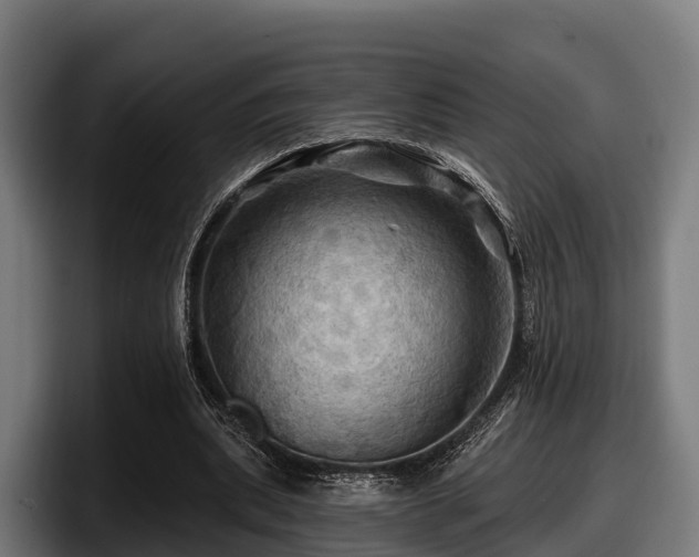 X0000097830439200803201501