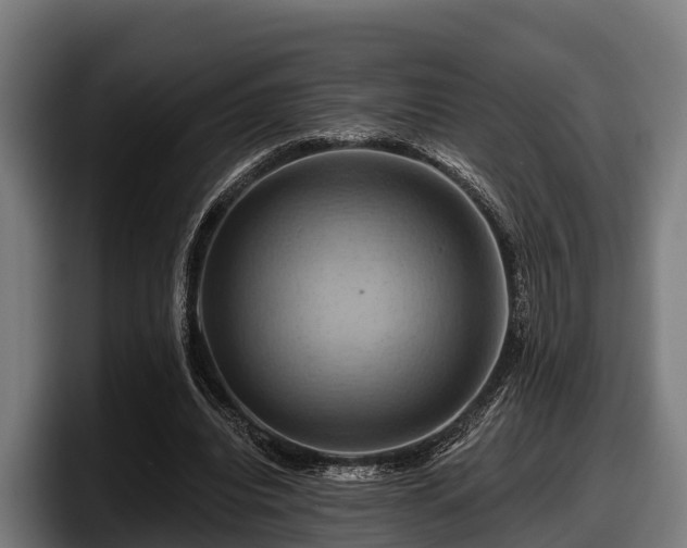 X0000097830440200803201501