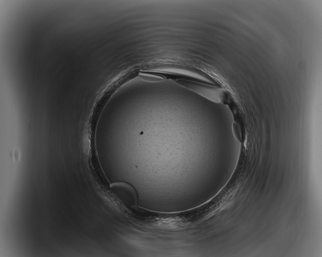 X0000097830446200803201501
