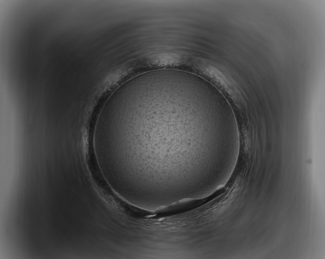 X0000097830447200803201501