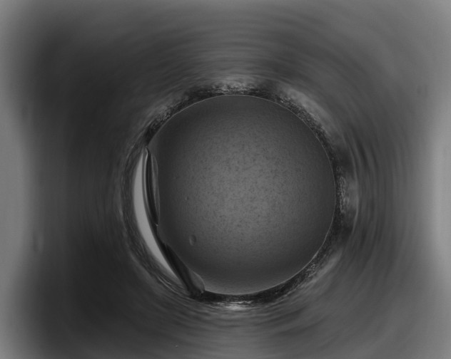 X0000097830451200803201501